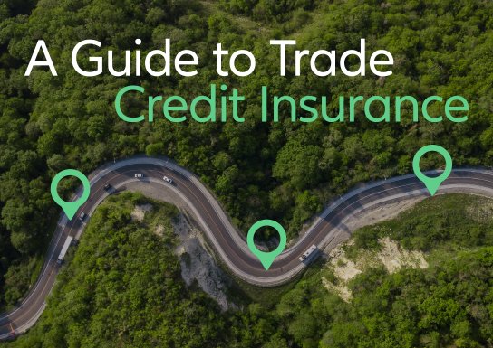 How Trade Credit Can Boost Your Business Cash Flow: Key Insights and Strategies